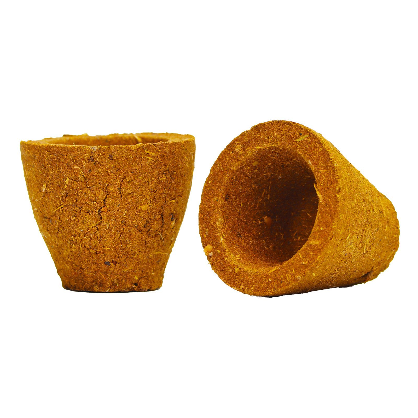 abinam-panchagavya-cup-sambrani-cow-dung-based-sambrani-charcoal-free-natural-puja-use