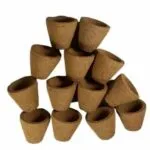 empty sambrani cup 305
