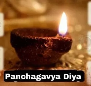 panchagavya vilakku cow dung diya 500×500