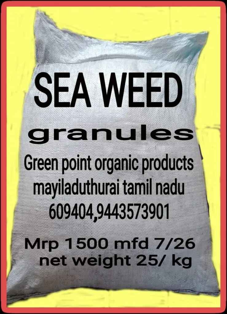 sea weed