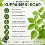Appoose Kuppaimeni Soap - image 2
