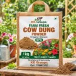 COW DUNG POWDER 1kg - image 2