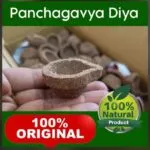 Pajakaviya Vizhaku (10 pie )