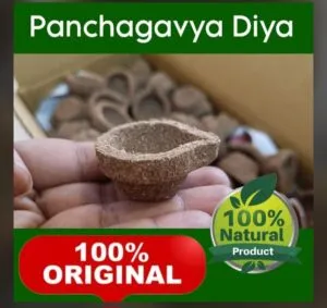Pajakaviya Vizhaku (10 pie )