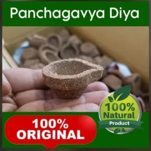 Pajakaviya Vizhaku (10 pie )