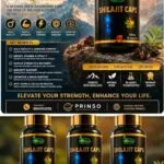 Shilajit Capsules - image 2