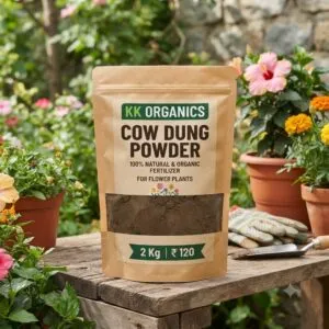 COW DUNG POWDER