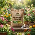 COW DUNG POWDER 2kg