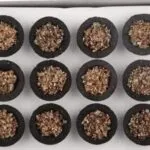 SS Brand Herbal Cup Sambrani ( 12 pie) - image 3
