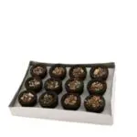SS Brand Herbal Cup Sambrani ( 12 pie) - image 6