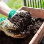 Light Weight Potting Mix