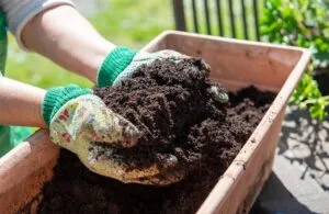 Light Weight Potting Mix 5 kg