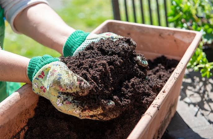 Light Weight Potting Mix 5 kg