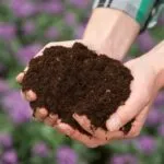 Light Weight Potting Mix - image 5