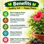 Organic Fertilizer Balls - image 2