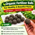 Organic Fertilizer Balls