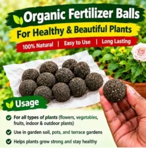Organic Fertilizer Balls