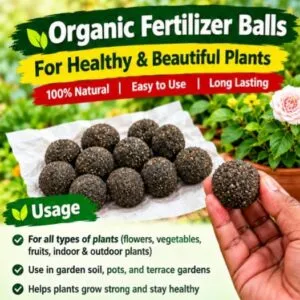 Organic Fertilizer Balls