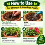 Organic Fertilizer Balls - image 5