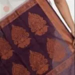 Silk Cotton Sarees