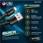 iPhone Fast Data Cable - image 4