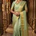 Trisha Model Silk Saree - image 4