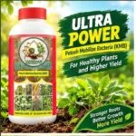 Ultra Power (AMB) 1- lit