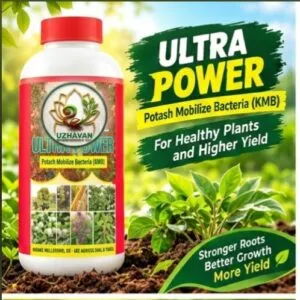 Ultra Power (AMB) 1- lit