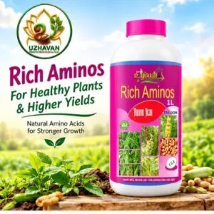 Rich Aminos ( 1- lit)