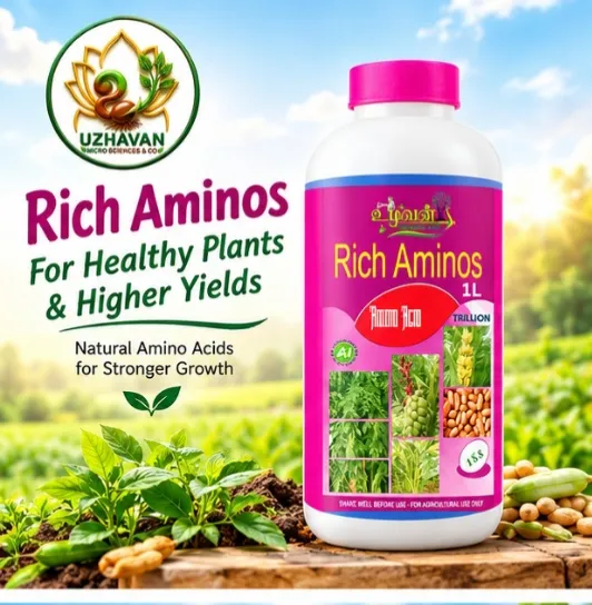 Rich Aminos ( 1- lit)