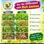 Rich Aminos ( 1- lit) - image 4