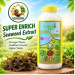 Super Enrch Seaweed Extract ( 1- lit)