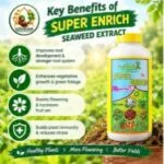 Super Enrch Seaweed Extract ( 1- lit) - image 3