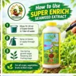 Super Enrch Seaweed Extract ( 1- lit) - image 5