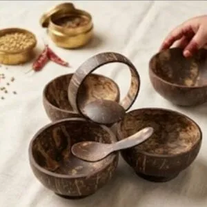 Coconut Shell Snacks Bowl